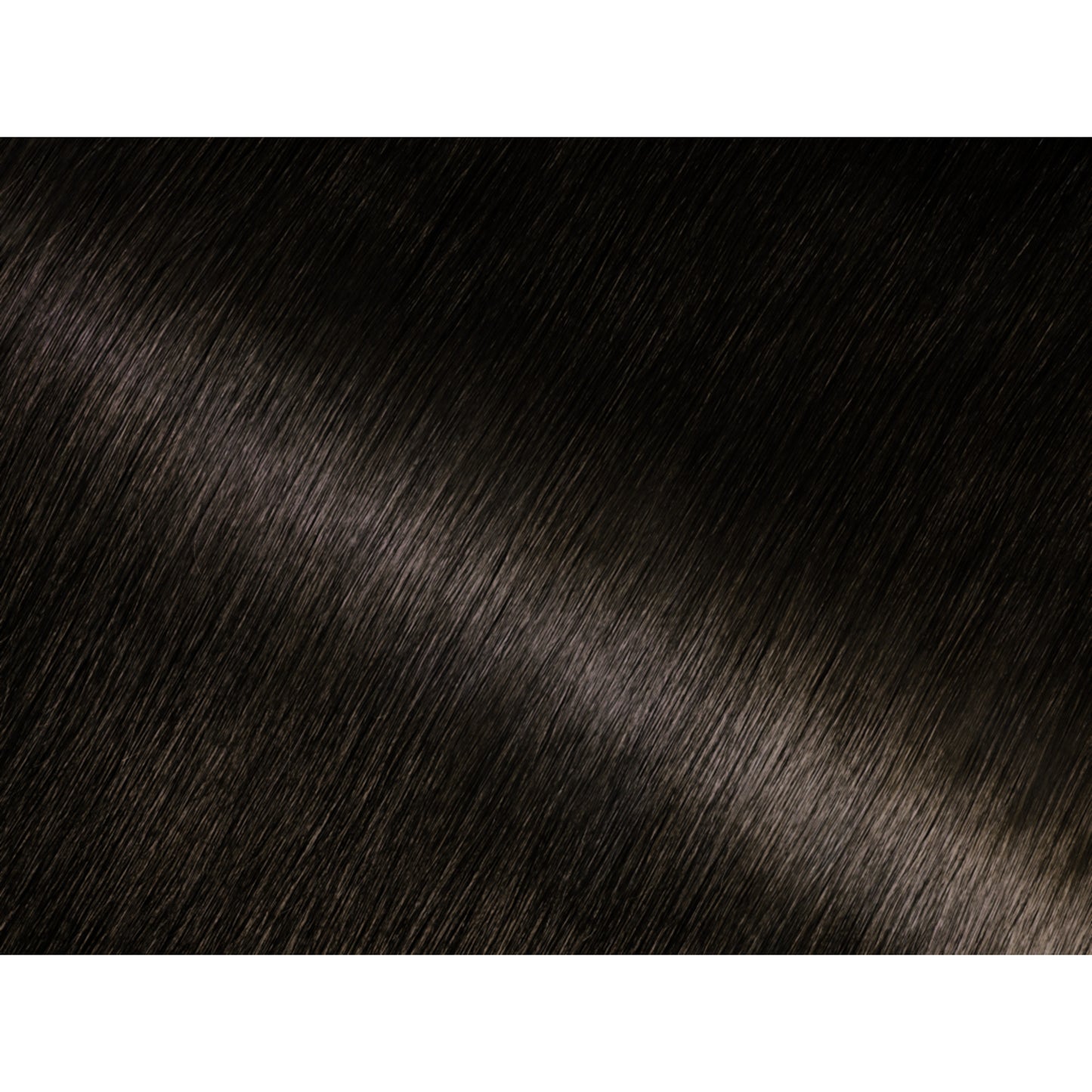 38800623