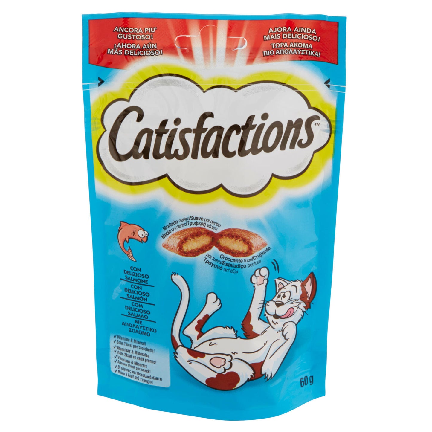 Catisfactions Snack Gatto con Delizioso Salmone 60 g (25521544)