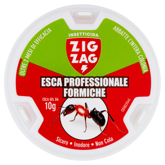 Zig Zag Insetticida Esca Professionale Formiche 10 g