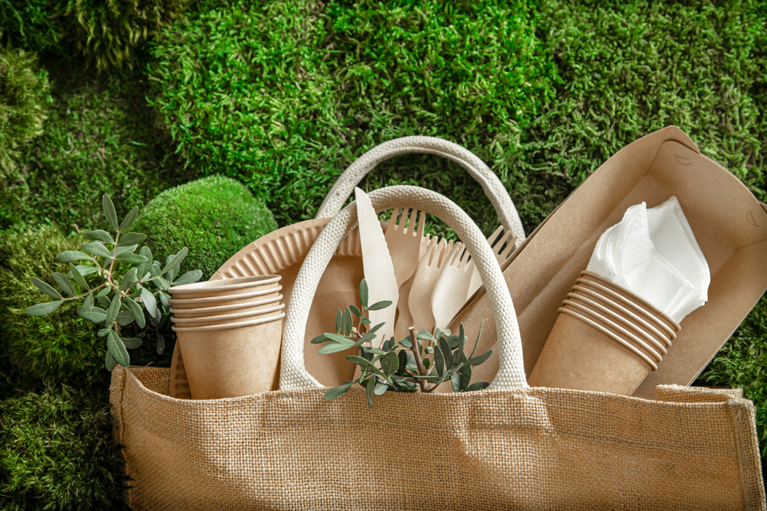 SCAMPAGNATE PASQUALI ECO-FRIENDLY