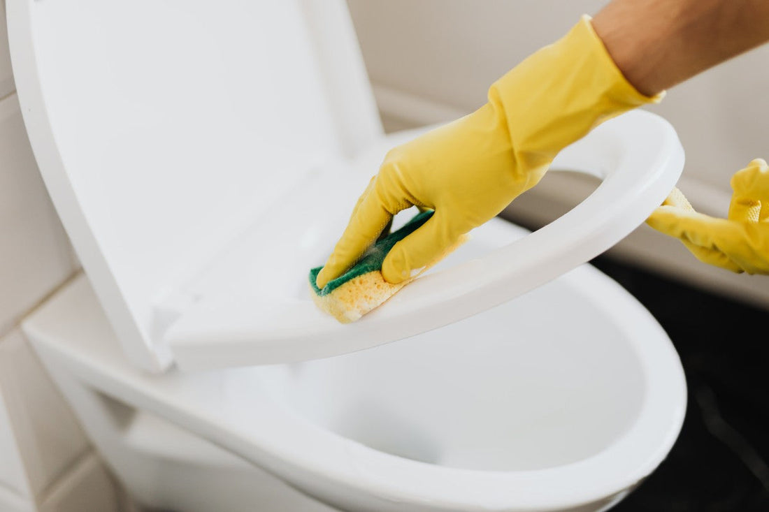 Come pulire efficacemente la ceramica del WC: guida pratica per averlo brillante e igienizzato, senza rovinare la superficie