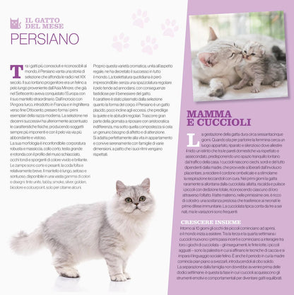 48017346