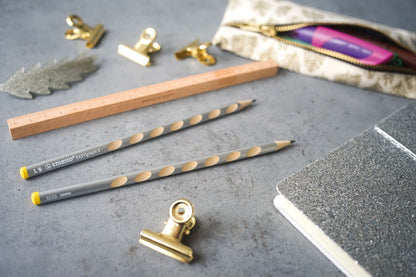 Matita Ergonomica triangolare - STABILO EASYgraph S Metallic per Mancini in Argento - Confezione da 6 - Gradazione HB
 (25545075)