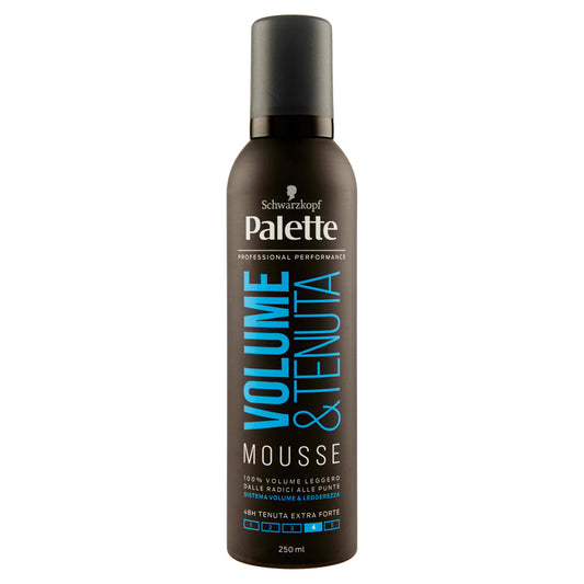 Palette Volume & Tenuta Mousse 250 ml (25568236)
