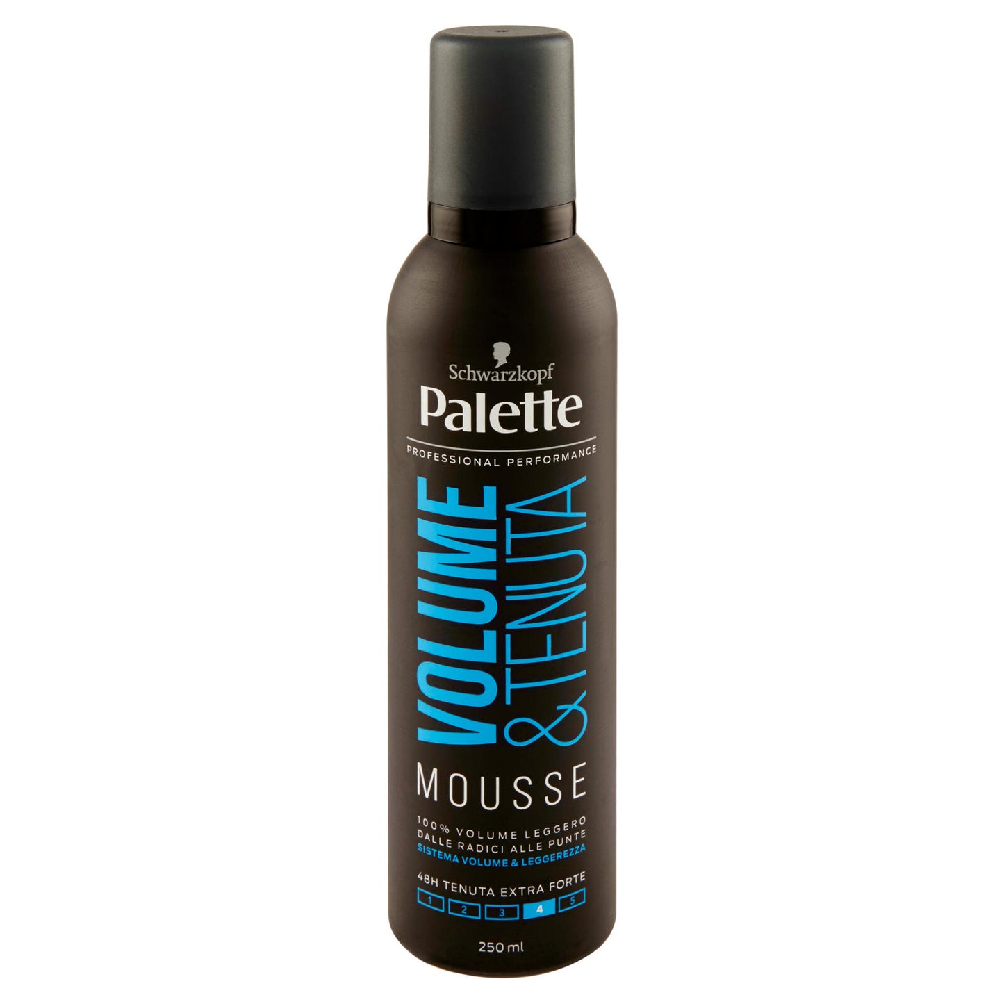 Palette Volume & Tenuta Mousse 250 ml (25568237)